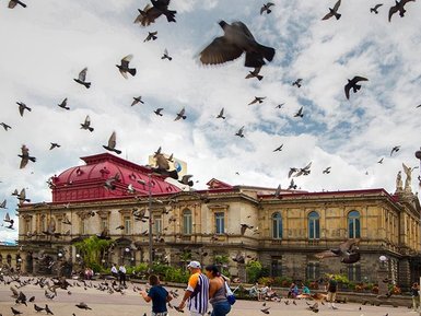 Bunte Vögel vor den Sehenswürdigkeiten in San José – Costa Rica Reise mit Kindern