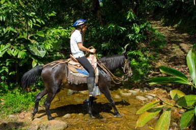 Ein Mädchen reitet auf einem schwarzen Pferd durch einen klaren Bach, umgeben von üppigem, grünem Dschungel.