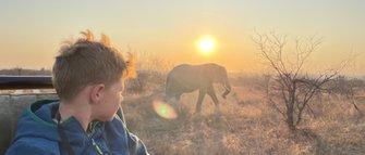 Kind sitzt im Safari-Jeep bei Sonnenuntergang und blickt auf einen Elefanten im Hintergrund – Südafrika Reise mit Kindern