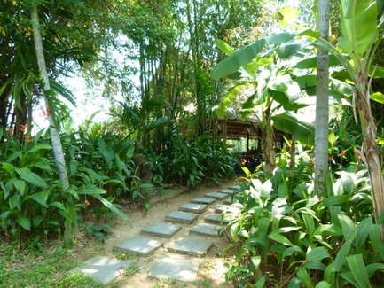 Kräutergarten einer Kochschule in Hoi An mit frischen Kräutern – Vietnam mit Kindern