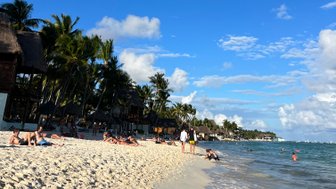 Hohe Palmen wiegen sich im Wind am Strand von Playa del Carmen – Mexiko Familienreise