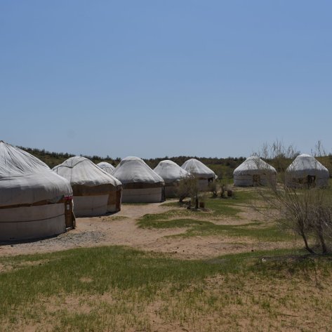 Eine Gruppe von Jurten steht in einer trockenen, sandigen Landschaft unter einem klaren blauen Himmel.