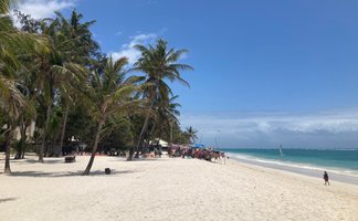 Ein sonniger Strand mit Palmen, wo Menschen entspannen und ein Segelboot in der Ferne auf dem Wasser fährt.