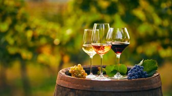 Drei Weingläser mit verschiedenen Weinsorten stehen auf einem Holzfass, umgeben von üppigen Weinreben im Hintergrund.