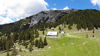 Eine malerische Berghütte umgeben von dichten Nadelwäldern und majestätischen Bergen unter einem strahlend blauen Himmel.