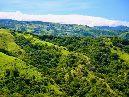 Saftig grüne Hügel erstrecken sich unter einem strahlend blauen Himmel mit einigen Wolken in der Ferne.