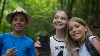 Kinder tragen einen kleinen Baum durch den tropischen Dschungel – Costa Rica Reise mit Kindern