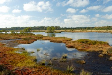 Ein ruhiger Wasserlauf spiegelt die Wolken und die umgebende Natur im Soomaa Nationalpark wider.