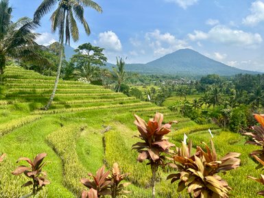 Üppig grüne Reisterrassen von Jatiluwih auf Bali – Bali Familienreise