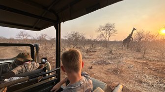 Ein Junge sitzt in einem Jeep und beobachtet eine Giraffe, die vor einem Sonnenuntergang in der Savanne steht.