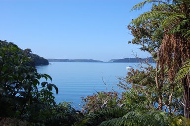 Ein ruhiger Blick auf das glitzernde Wasser des Abel Tasman Nationalparks, umgeben von üppigem Grün und sanften Hügeln.