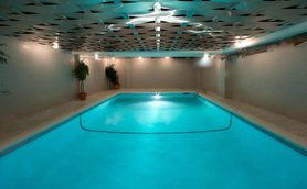 Ein eleganter Innenpool mit leuchtend blauem Wasser, umgeben von modernen Wänden und sanften Pflanzen in Töpfen.