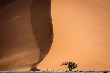 Der Fernblick auf eine Sanddüne - Namibia Rundreise mit Kindern