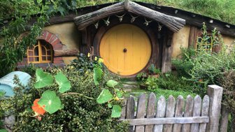 Ein charmantes Hobbit-Haus mit einer runden, gelben Tür und einem üppigen Garten voller Pflanzen und Blumen.