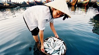 Eine Fischerin in traditioneller Kleidung steht im Wasser und hält einen Korb voller frischer Fische.