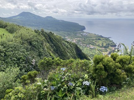 Eine atemberaubende Aussicht auf die Küste mit üppigem Grün und blühenden Pflanzen, die den Hang hinunterführt.