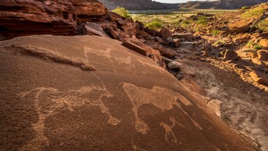 Mehrere Felszeichnungen zeigen unterschiedliche Tiere - Namibia Urlaub mit Kindern