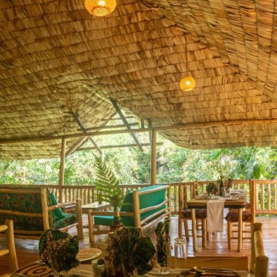 Ein einladender Raum mit einem Strohdach, der eine entspannte Atmosphäre und Blick auf die grüne Umgebung bietet.