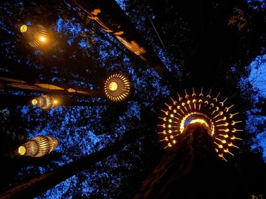 Unter einem klaren Nachthimmel leuchten kunstvolle Laternen zwischen hohen Bäumen und schaffen eine magische Atmosphäre.