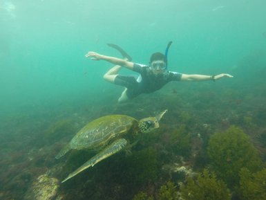 Ein Schwimmer mit Schnorchel gleitet durch das klare Wasser, während eine Schildkröte elegant neben ihm schwimmt.