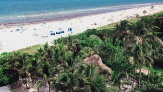 Ein Blick auf den Strand von Miami Beach, umgeben von Palmen und Sonnenliegen, mit dem klaren blauen Wasser im Hintergrund.