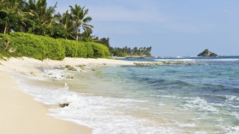Palmen säumen den feinen Sandstrand mit kristallklarem Wasser – Sri Lanka Reise mit Kindern