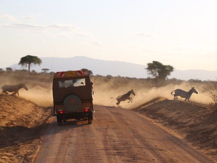 Eine Jeep-Safari durch Tsavo East Nationalpark, während Zebras in der Staubwolke umherlaufen.
