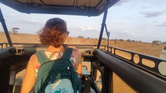 Eine Person mit einem Rucksack beobachtet eine Gruppe von Elefanten in der Savanne, während sie in einem Geländewagen sitzt.