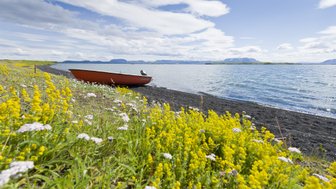 Ein rotes Boot liegt am Ufer eines ruhigen Sees, umgeben von bunten Wildblumen und einer malerischen Landschaft.