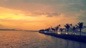 Ein malerischer Sonnenuntergang über dem Wasser, mit Palmen, die die Küste säumen und sanften Wellen im Vordergrund.