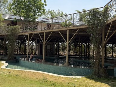 Ein moderner Pool in einem offenen, von Bäumen umgebenen Camp, ideal für Entspannung in der Natur.