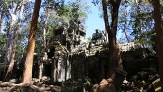 Alte Tempelanlage Ta Nei umgeben von Dschungel – Kambodscha mit Kindern