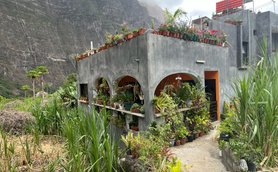 Ein modernes, graues Gebäude mit einer Fassade aus Töpfen voller Pflanzen und Blumen umgeben von üppigem Grün.