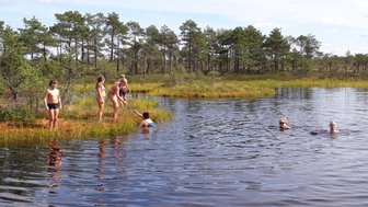 Sechs Kinder und Erwachsene genießen einen sonnigen Tag am Wasser, einige schwimmen, andere stehen am Ufer.