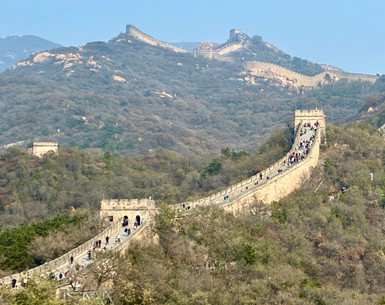 Die Große Mauer erstreckt sich majestätisch über die Hügel, umgeben von grünen Bäumen und einem klaren blauen Himmel.