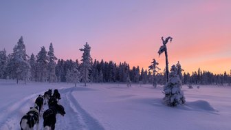 Eine Gruppe von Schlittenhunden zieht einen Schlitten durch eine verschneite Landschaft bei Sonnenuntergang.