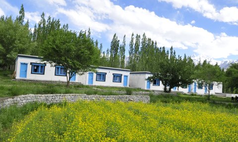 In der Nubra-Region stehen weiße Cottages mit blauen Fenstern vor einer blühenden gelben Blumenwiese und grünen Bäumen.