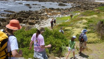 Familie wandert am weiten Strand von Hermanus entlang – Garden Route Familienreise