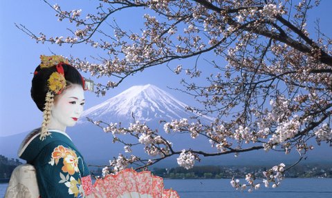 Eine Geisha in traditioneller Kleidung steht vor dem Fuji, umgeben von blühenden Kirschbäumen und einem klaren blauen Himmel.