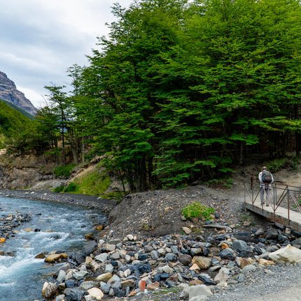 Ein Wanderer steht auf einer Brücke, die über einen klaren Fluss führt, umgeben von üppigem, grünem Wald.