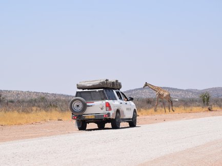 Ein Jeep mit Dachzelt steht vor einer Giraffe - Namibia mit Jugendlichen