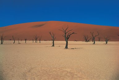Ein Panoramablick zeigt eine trockene Wüstenlandschaft - Namibia Urlaub mit Kindern