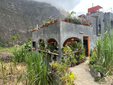 Ein modernes, graues Gebäude mit einer Fassade aus Töpfen voller Pflanzen und Blumen umgeben von üppigem Grün.