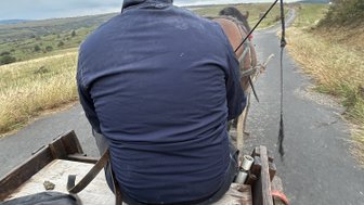 Eine Person sitzt auf einem Wagen, der von einem Pferd gezogen wird, während sie eine ländliche Straße entlangfahren.