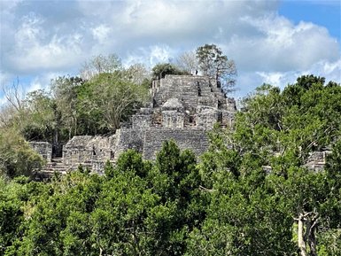 Maya-Pyramide ragt zwischen dichten Bäumen im Regenwald von Calakmul hervor – Mexiko Reise mit Kindern