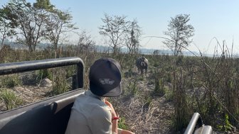 Ein Kind sitzt in einem Geländewagen und beobachtet einen Nashorn, das durch die Graslandschaft im Chitwan-Nationalpark wandert.