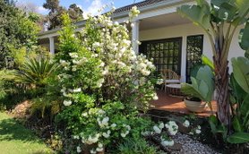 Ein üppiger Garten mit blühenden Sträuchern und einer einladenden Terrasse, die zum Entspannen einlädt.