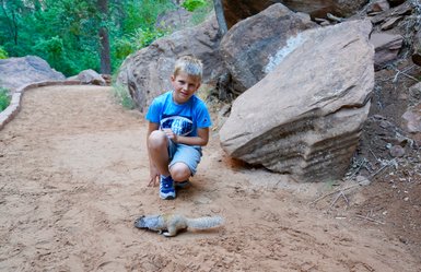 Ein Junge kniet auf einem sandigen Weg im Zion Nationalpark und beobachtet ein Eichhörnchen, das sich am Boden befindet.