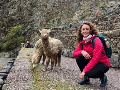 Eine Frau in einer pinken Jacke kniet neben zwei Schafen vor einer beeindruckenden Inka-Ruine in Ollantaytambo.