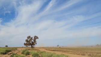 Naturlandschaft mit markantem Baum in der marokkanischen Umgebung – Marokko Familienreise